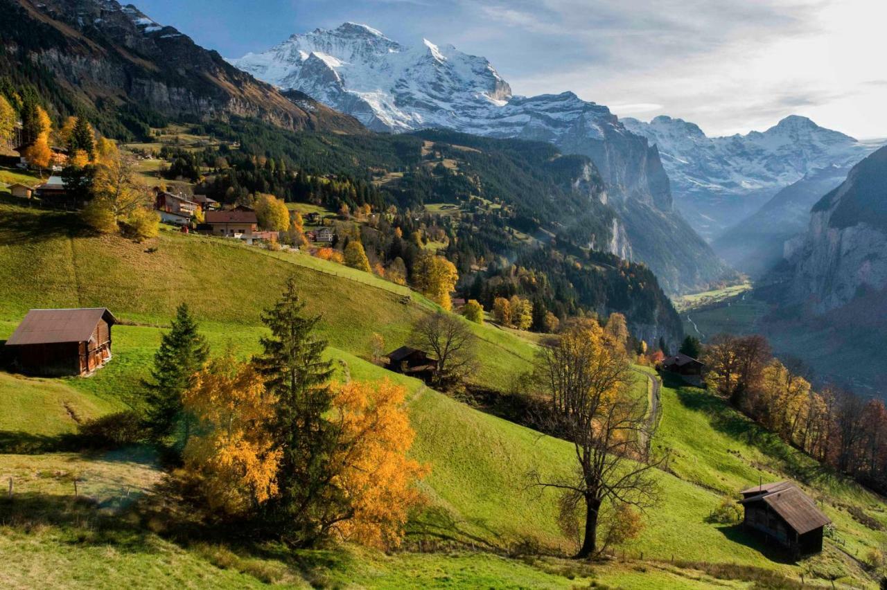 Apartament O 68 Haus Bel Air Wengen Zewnętrze zdjęcie